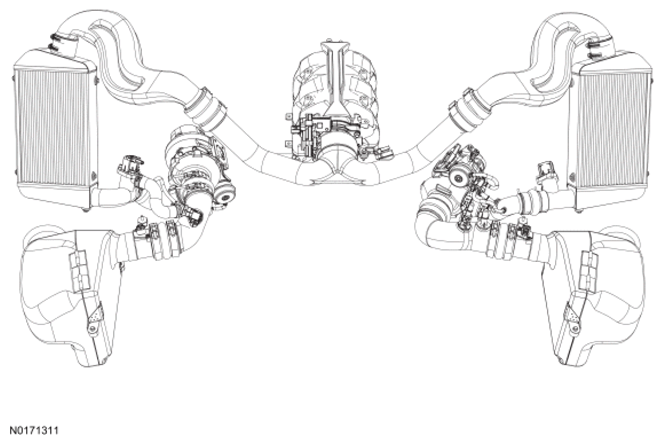 G11848342