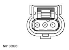 G11848406