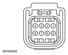 G11849389