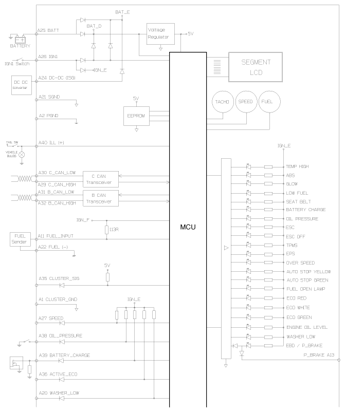 G11849561