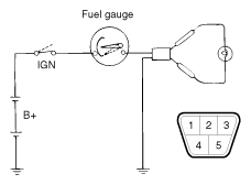 G11849568