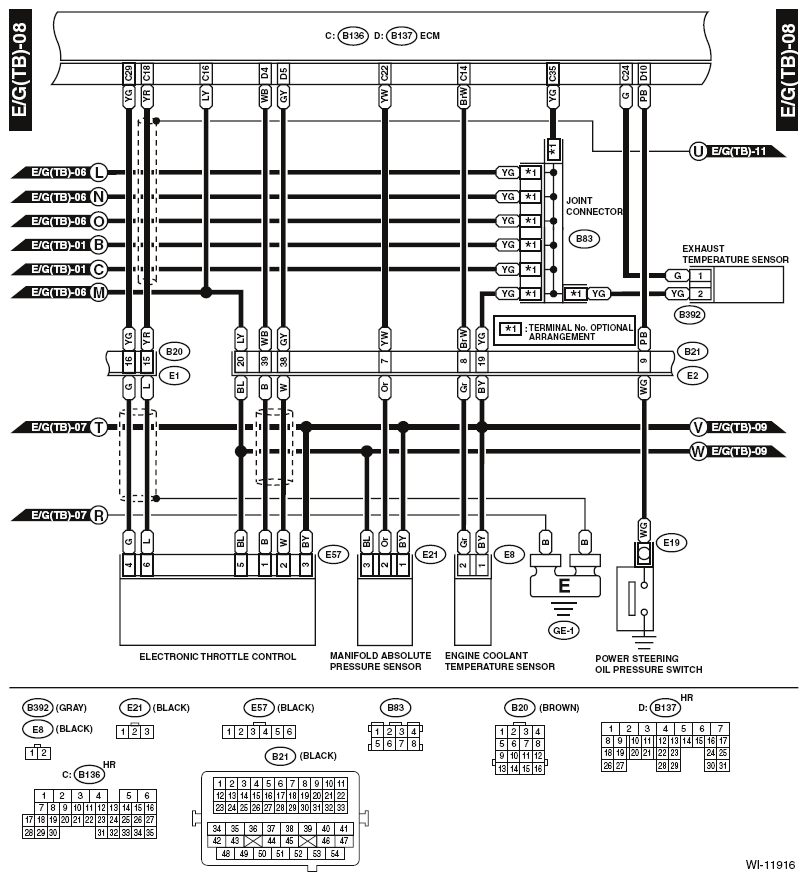 G11894498