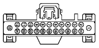 G11915584