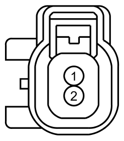 G11915891
