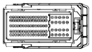 G11915911