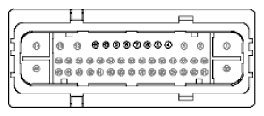 G11915929