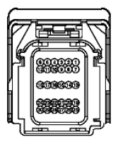 G11915938