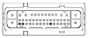 G11915951