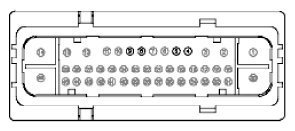 G11915975