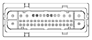 G11915981