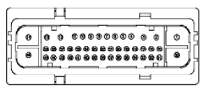 G11915994