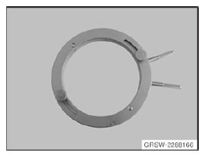 G11943393
