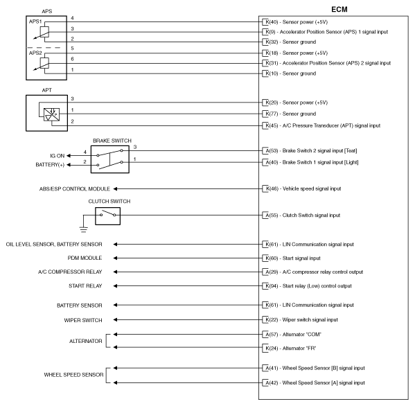 G11955476