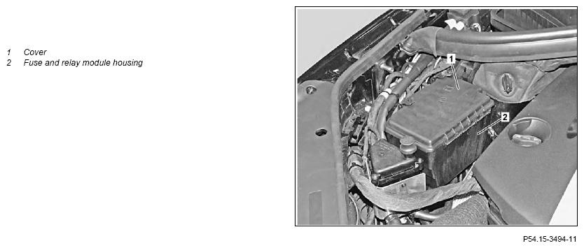 G11969454