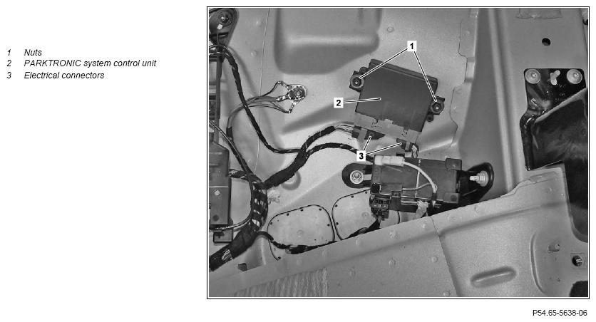 G11969520