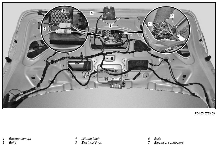 G11969524