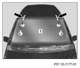 G11969784