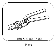 G11969833
