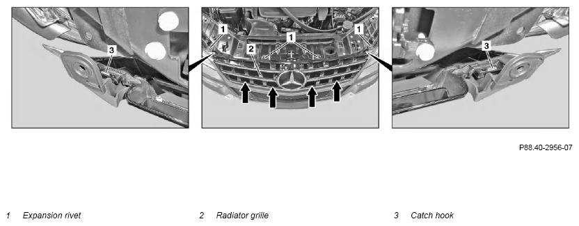 G11970565