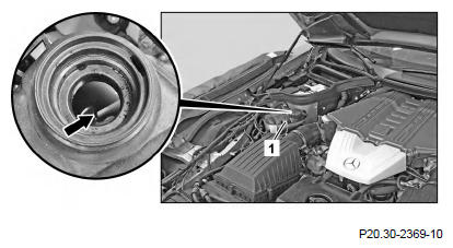 G11971788