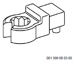 G11972538
