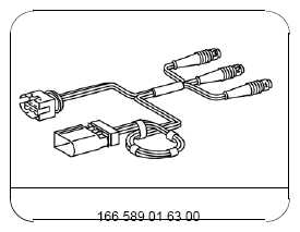 G11973378