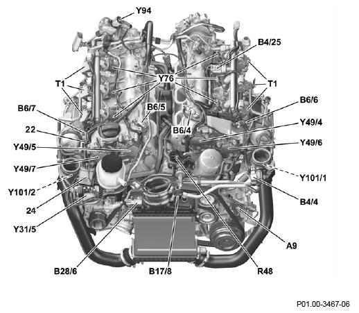 G11973761
