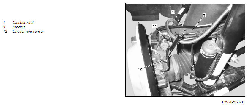 G11974281