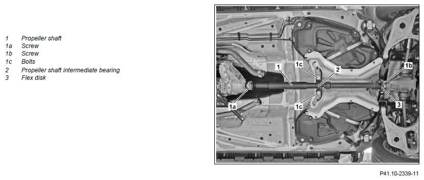 G11974538