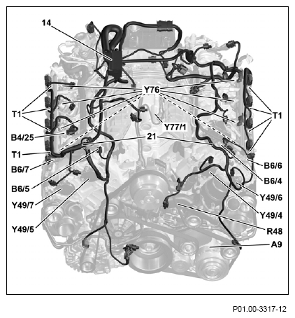 G11974959