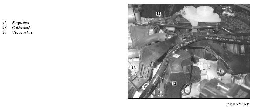 G11975024