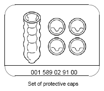 G11975051