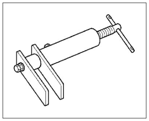 G11977568