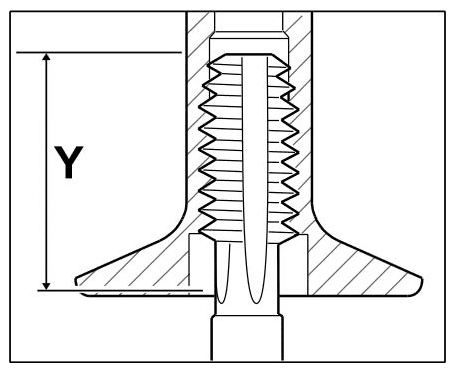 G11977736