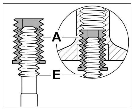 G11977737