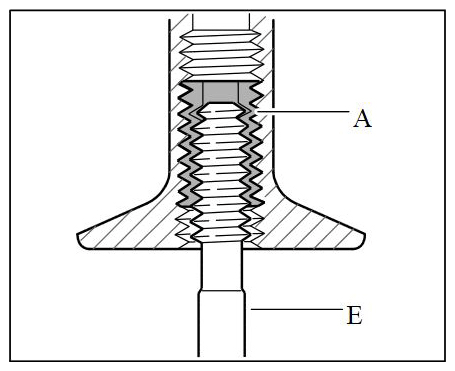 G11977754