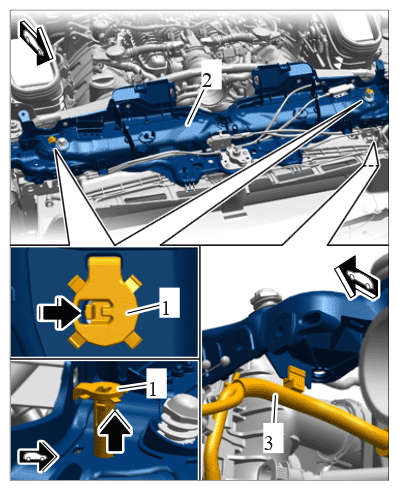 G11978345