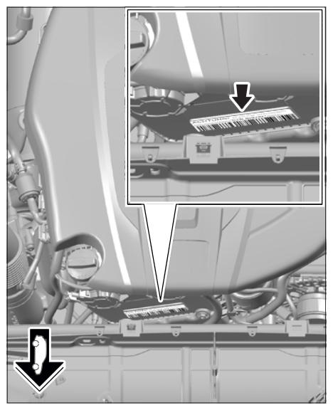 G11980253