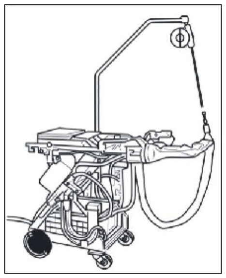 G11983020