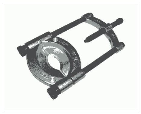 G11983841