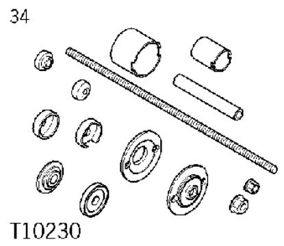 G11983842
