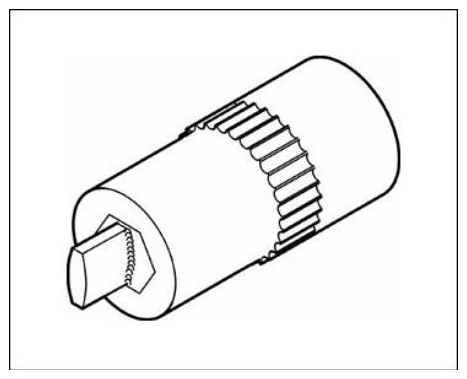 G11983885