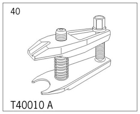 G11983886