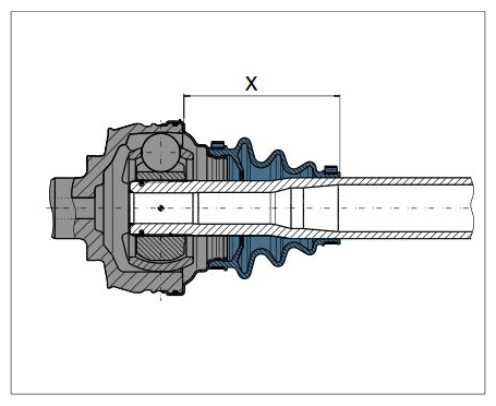 G11985029
