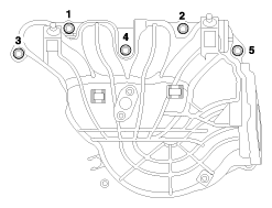G11987002