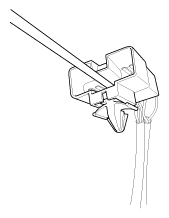 G11987550