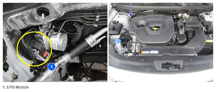 G11989825