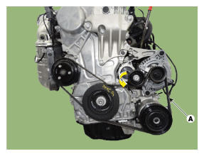 G11993832