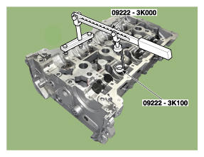 G11993955
