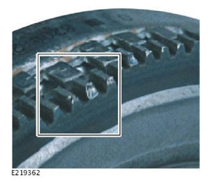 G11996427